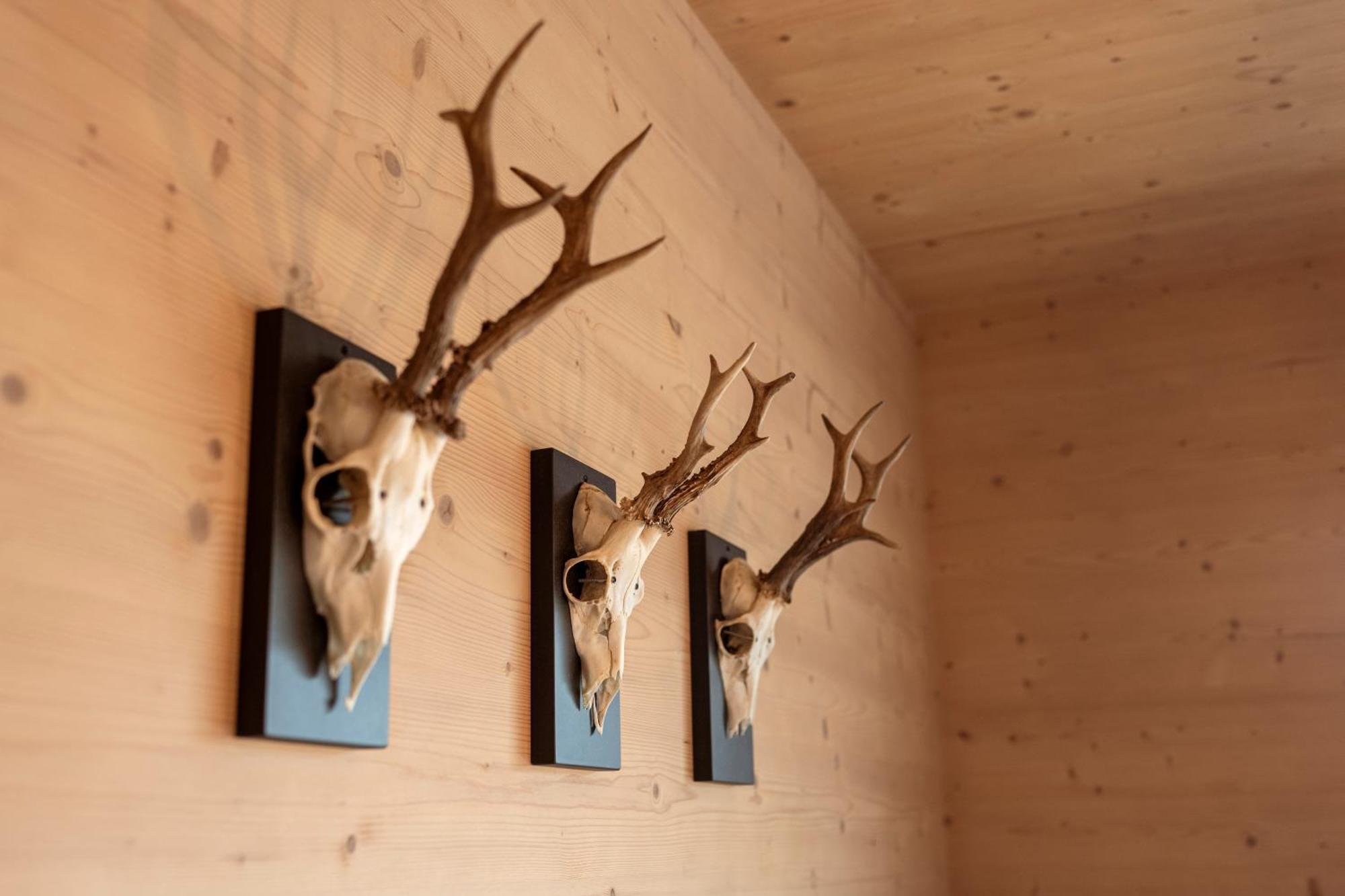 Holzlodge deluxe Radstadt Eksteriør billede