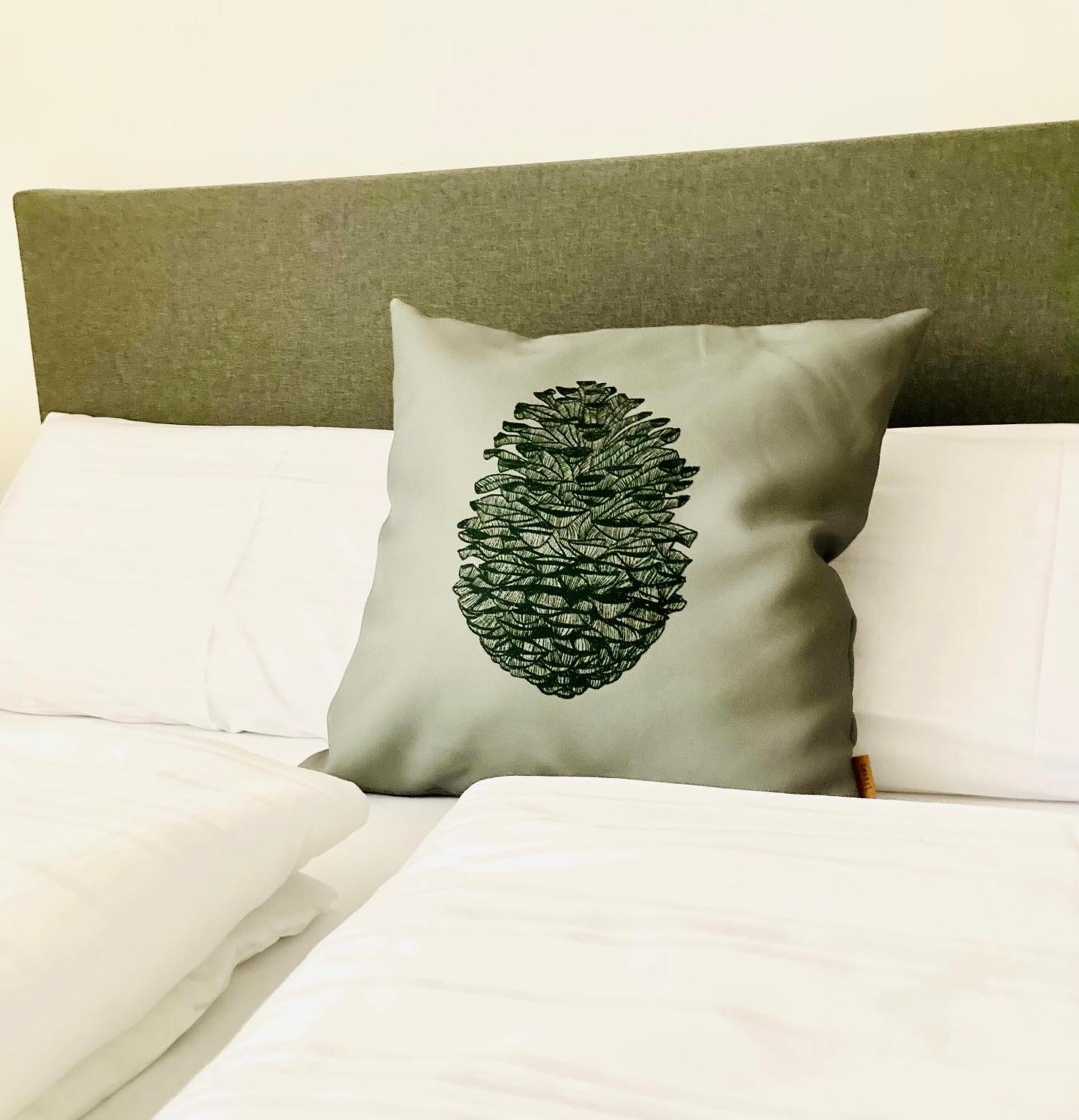 Holzlodge deluxe Radstadt Værelse billede